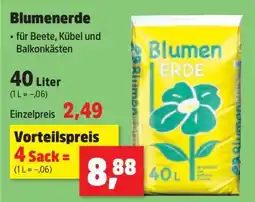 Thomas Philipps Blumenerde Angebot