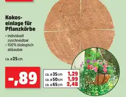 Thomas Philipps Kokoseinlage für Pflanzkörbe Angebot
