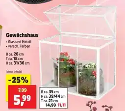 Thomas Philipps Gewächshaus Angebot