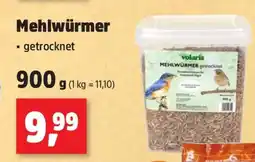 Thomas Philipps Mehlwürmer Angebot