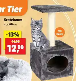 Thomas Philipps Kratzbaum Angebot
