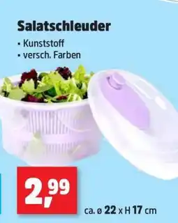Thomas Philipps Salatschleuder Angebot