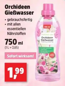 Thomas Philipps Orchideen Gießwasser Angebot