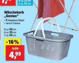 Thomas Philipps Wäschekorb Genius Angebot