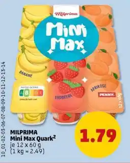 PENNY MILPRIMA Mini Max Quark² Angebot