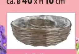 Thomas Philipps Weidenkranz Angebot