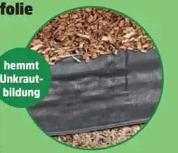 Thomas Philipps Grüner Jan Rindenmulchfolie Angebot