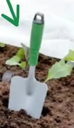 Thomas Philipps Kleine Gartenhelfer Angebot