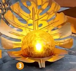 Thomas Philipps Solar Monsterablatt Angebot