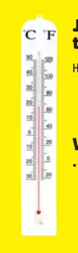 Thomas Philipps Gartenthermometer Jumbo Angebot