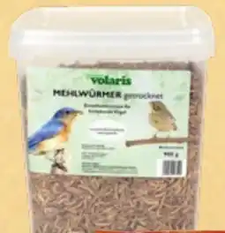 Thomas Philipps Volaris Mehlwürmer Angebot
