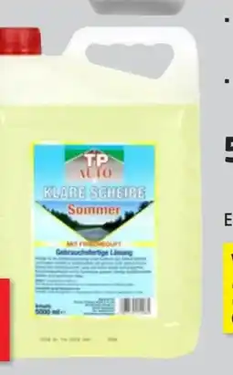 Thomas Philipps TP Auto Scheibenreiniger Sommer Angebot