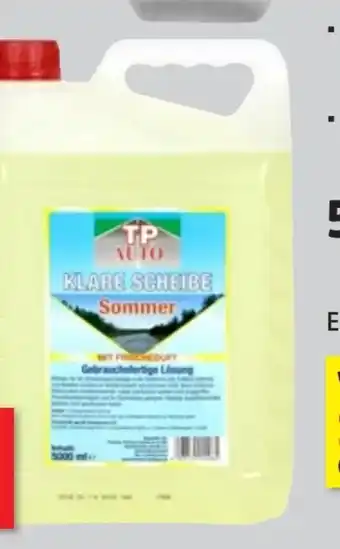 Thomas Philipps TP Auto Scheibenreiniger Sommer Angebot