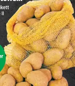 Thomas Philipps Speisekartoffeln XXL Angebot