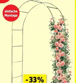 Thomas Philipps Metall-Rosengartenbogen Angebot