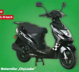 Hagebau Alpha Motors Motorroller CityLeader Angebot