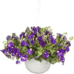 toom Baumarkt Blumenampel Angebot