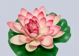 Rossmann Rossmann Ideenwelt Schwimmende Deko-Seerose Angebot