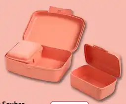Rossmann Flink & Sauber Snackboxen-Set Angebot