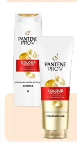 Rossmann Pantene Pro-V Shampoo Angebot
