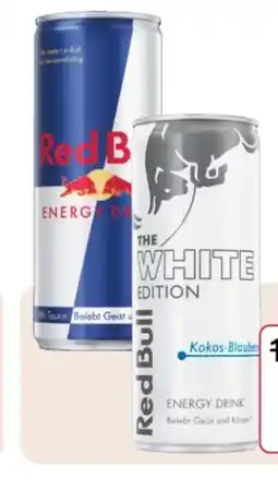 Rossmann Red Bull Energy Drink Angebot