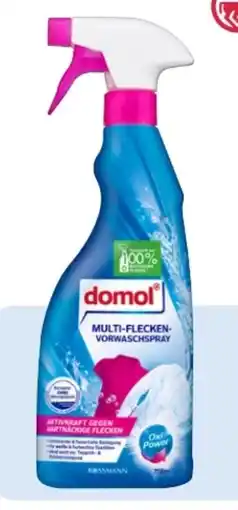 Rossmann Domol Multi-Flecken-Vorwaschspray Angebot