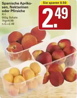 WEZ Spanische Aprikosen, Nektarinen oder Pfirsiche Angebot