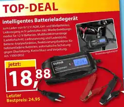 Sonderpreis Baumarkt intelligentes Batterieladegerät Angebot