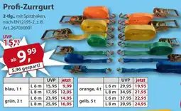 Sonderpreis Baumarkt Profi-Zurrgurt Angebot
