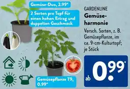 Aldi Süd GARDENLINE Gemüseharmonie Angebot