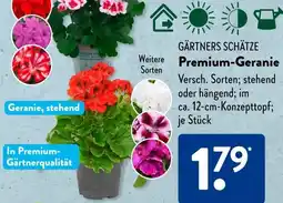 Aldi Süd GÄRTNERS SCHÄTZE Premium-Geranie Angebot