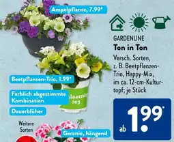 Aldi Süd GARDENLINE Ton in Ton Angebot