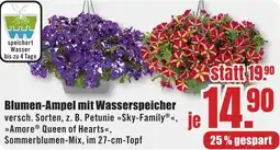 B1 Discount Baumarkt Blumen-Ampel mit Wasserspeicher Angebot