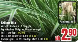 B1 Discount Baumarkt Gräser-Mix Angebot
