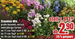 B1 Discount Baumarkt Stauden-Mix Angebot