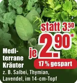 B1 Discount Baumarkt Mediterrane Kräuter Angebot