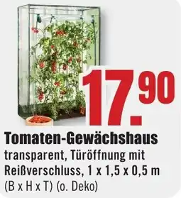 B1 Discount Baumarkt Tomaten-Gewächshaus Angebot