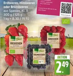 Edeka Erdbeeren, Himbeeren oder Brombeeren Angebot