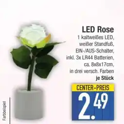 Edeka LED Rose Angebot
