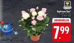 Edeka Topfrosen Duo Angebot