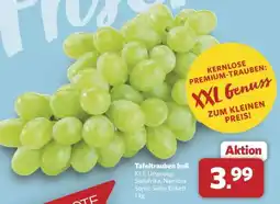 Combi Tafeltrauben hell Angebot