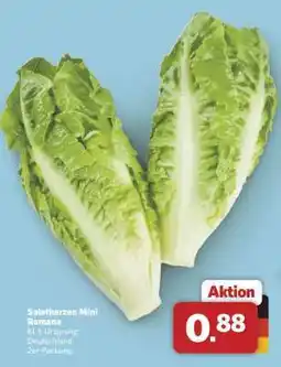 Combi Salatherzen Mini Romana Angebot