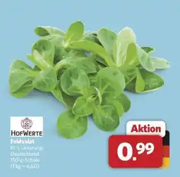 Combi Feldsalat Angebot