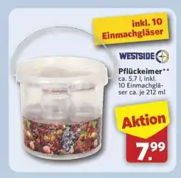 Combi WESTSIDE Pflückeimer Angebot