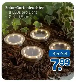 Rossmann Solar-Gartenleuchten Angebot