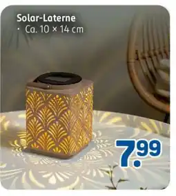 Rossmann Solar-Laterne Angebot