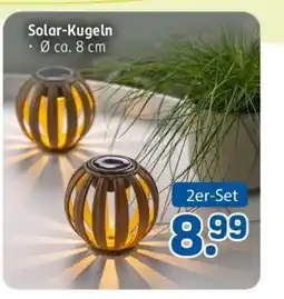 Rossmann Solar-Kugeln Angebot