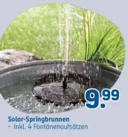 Rossmann Solar-Springbrunnen Angebot
