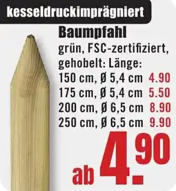 B1 Discount Baumarkt Baumpfahl Angebot