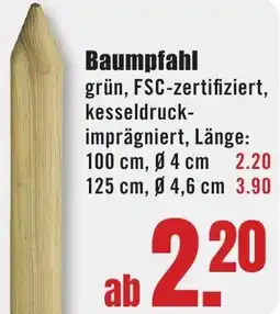 B1 Discount Baumarkt Baumpfahl Angebot